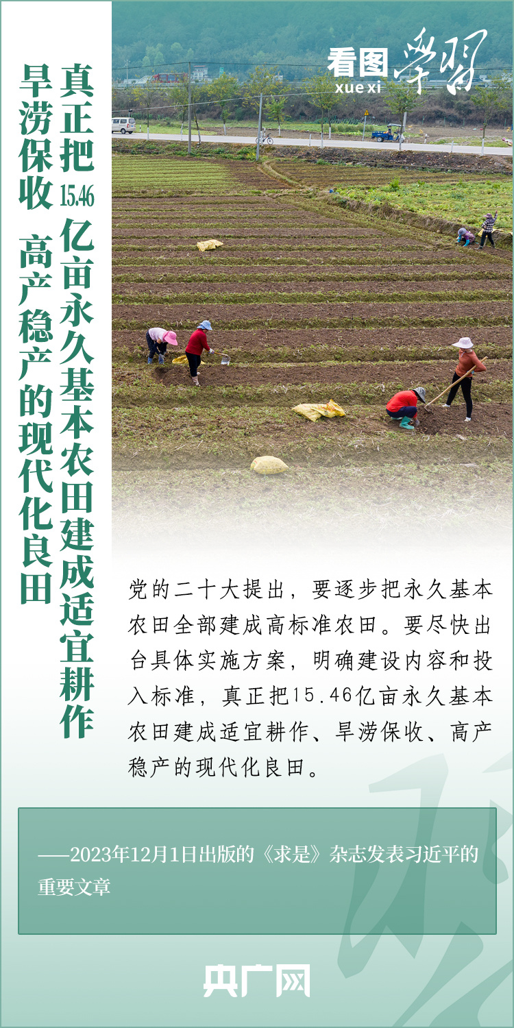 陕西新增2家大型国企推动现代农业与国际贸易发展