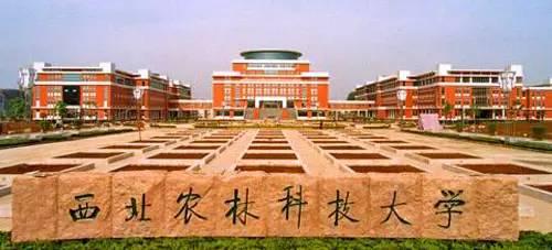 中国公共关系协会发布公关优秀案例淄博烧烤等20案例入选